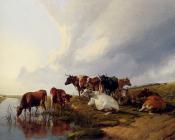 Evening In The Meadows - 托马斯·辛德尼·库珀